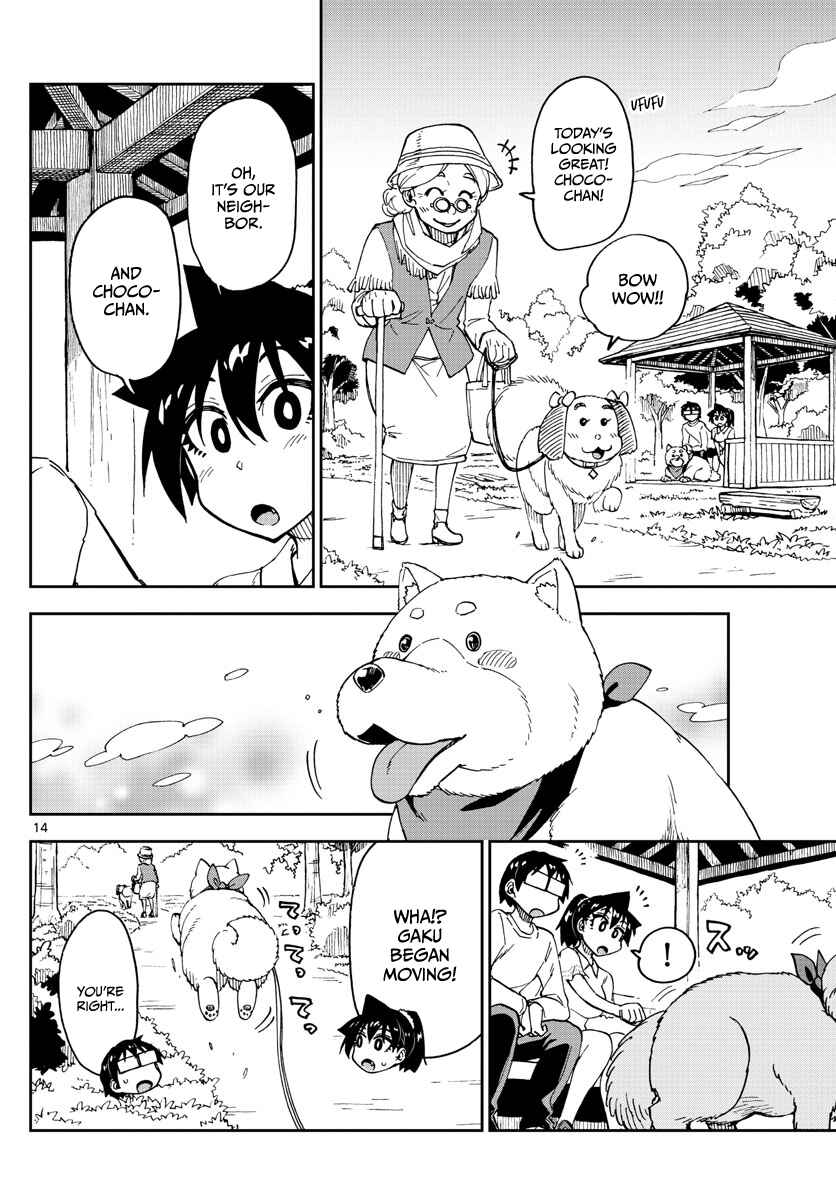 Page 14 Chapter 118 Amano Megumi wa Suki Darake!