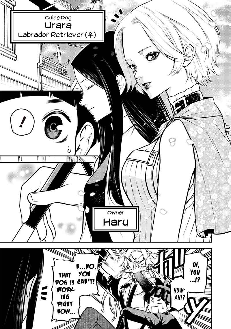 Page 3 Chapter 32 Inu ga Hito ni Naru Hanashi