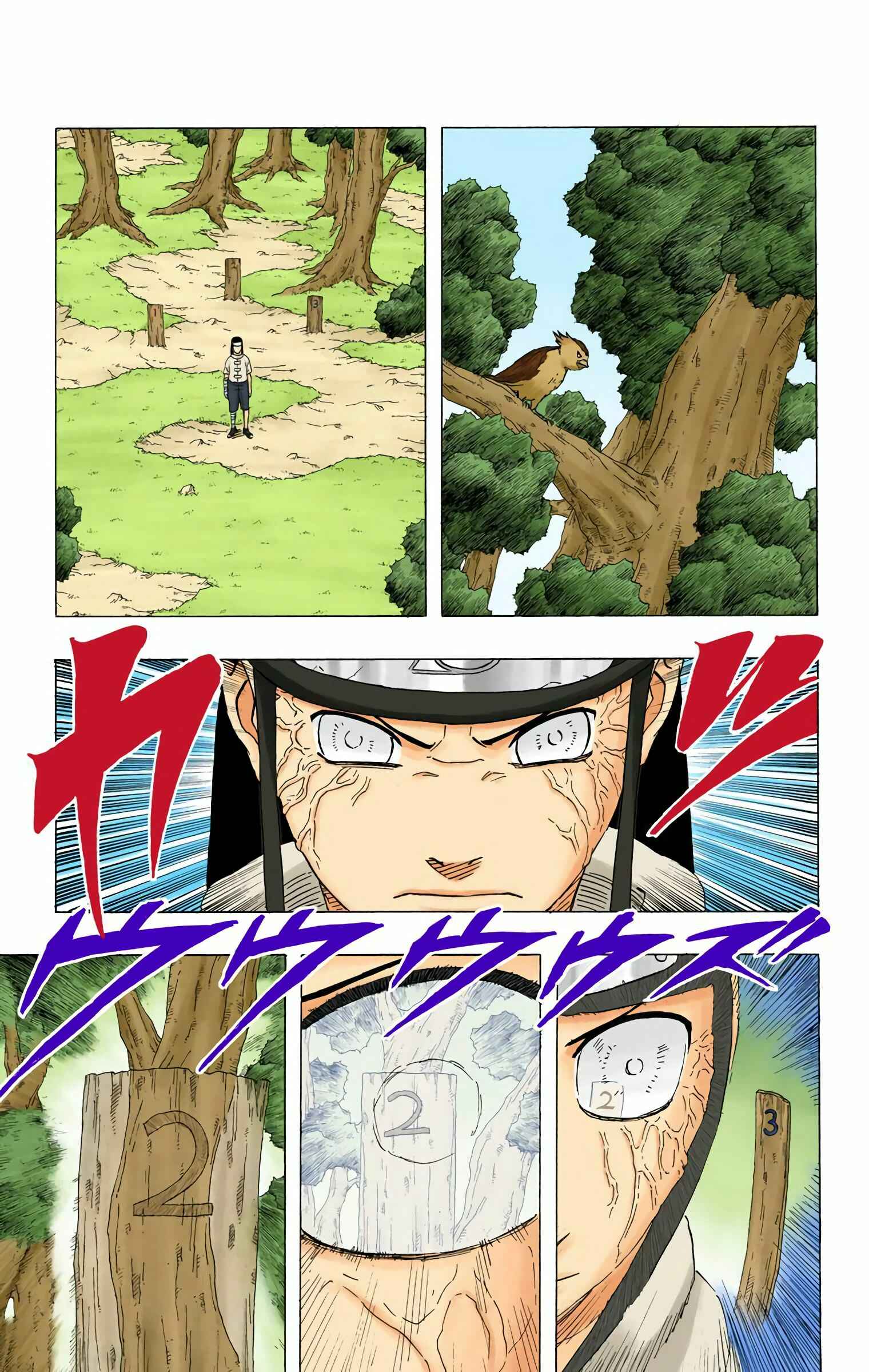Page 13 Chapter 172 Naruto (Official Colored)