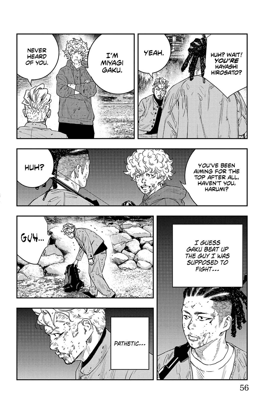 Page 10 Chapter 8 Nine Peaks
