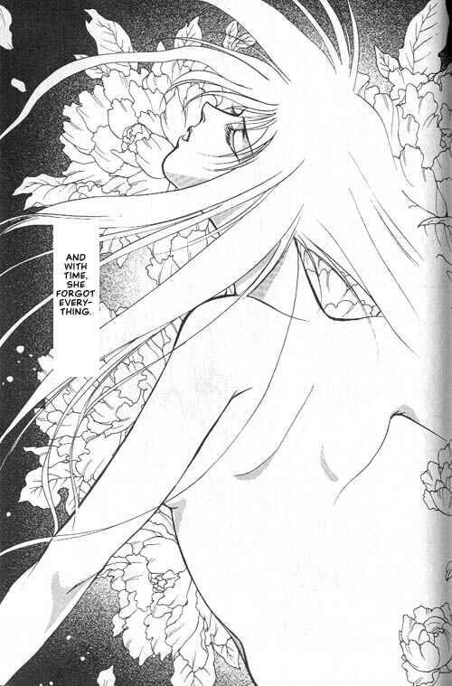 Page 43 Chapter 2 Seimaden