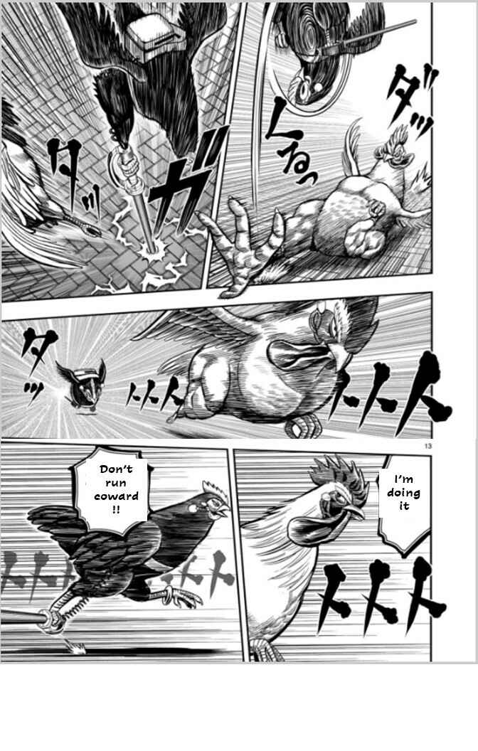 Page 13 Chapter 7 Rooster Fighter