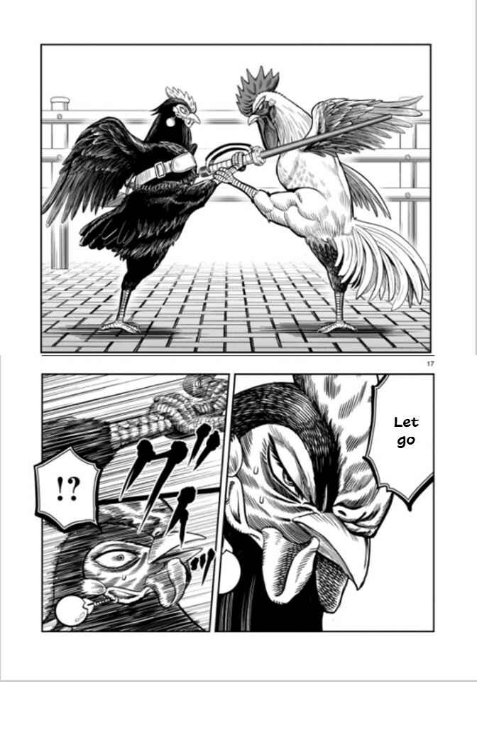 Page 17 Chapter 7 Rooster Fighter