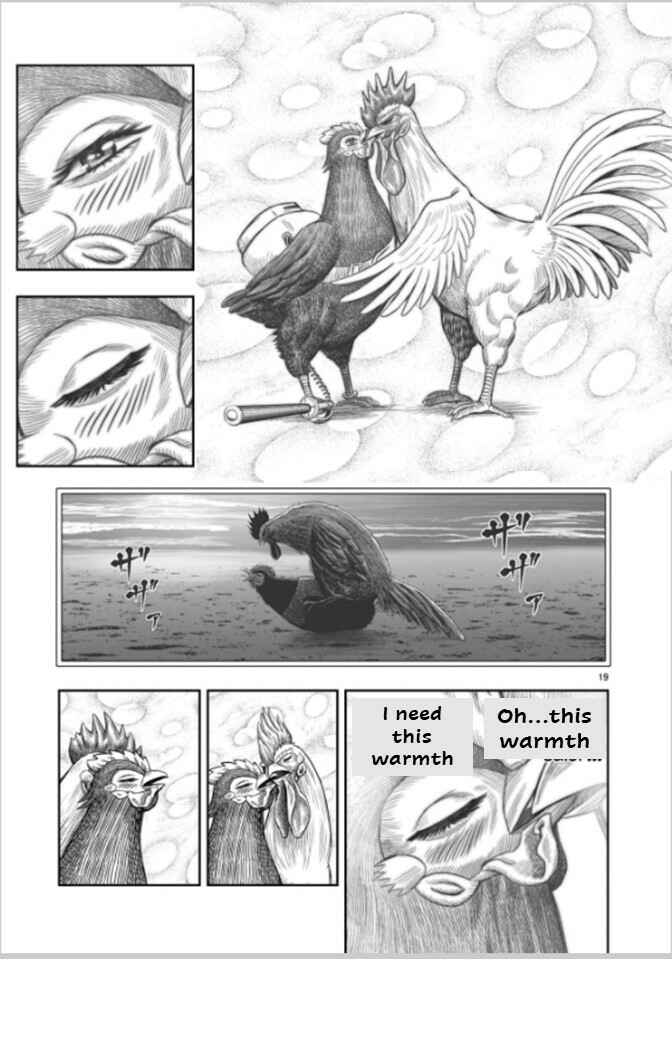 Page 19 Chapter 7 Rooster Fighter