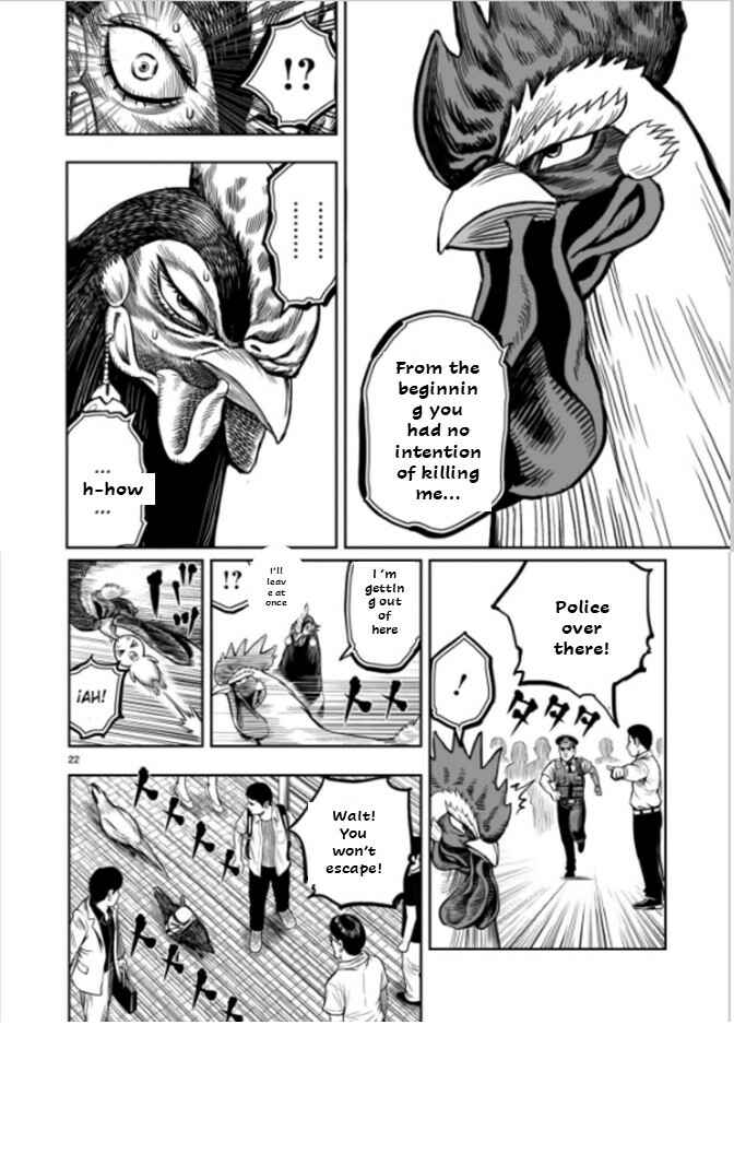 Page 22 Chapter 7 Rooster Fighter