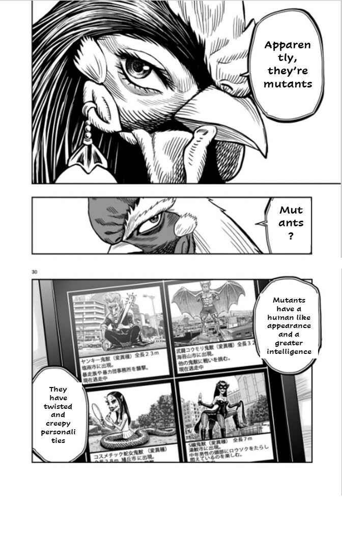 Page 30 Chapter 7 Rooster Fighter