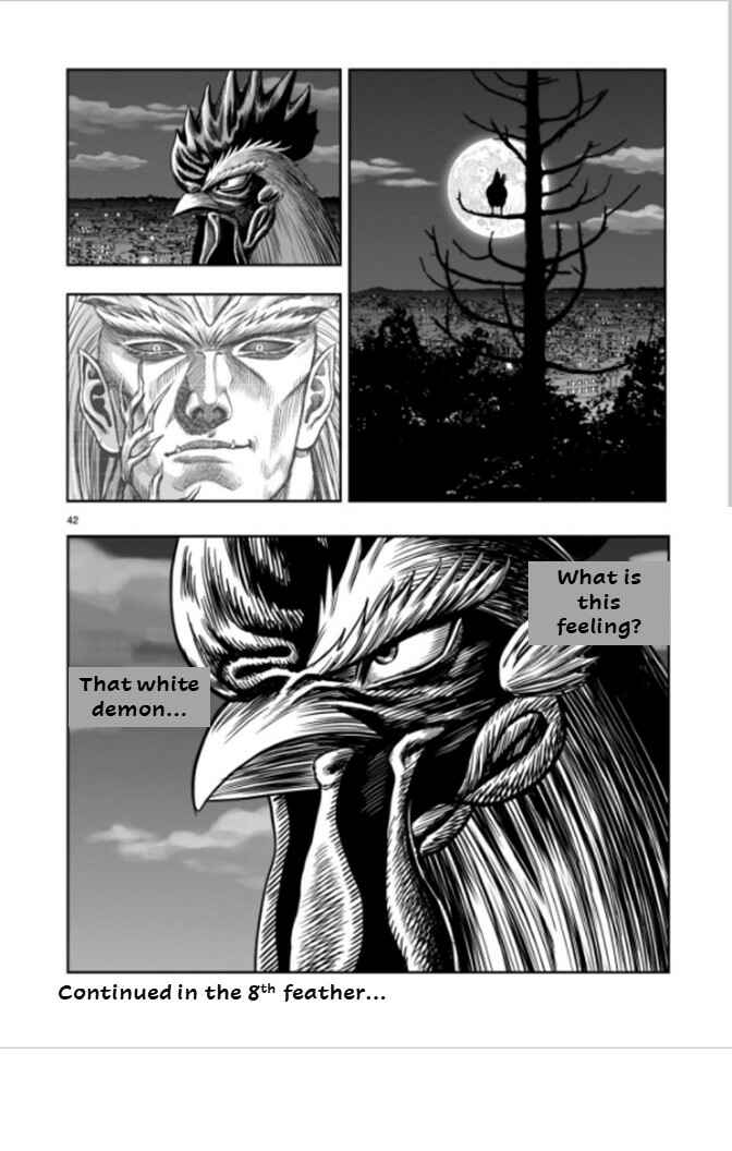 Page 41 Chapter 7 Rooster Fighter