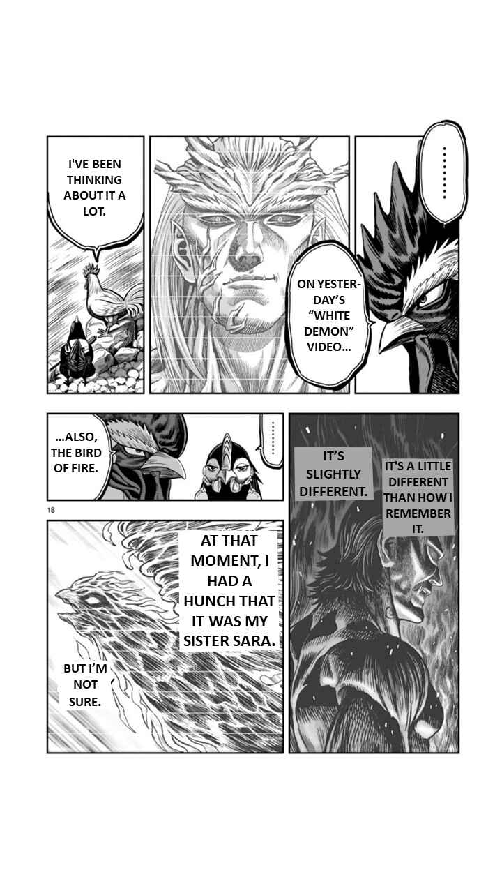 Page 18 Chapter 8 Rooster Fighter