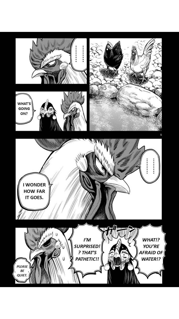 Page 5 Chapter 8 Rooster Fighter
