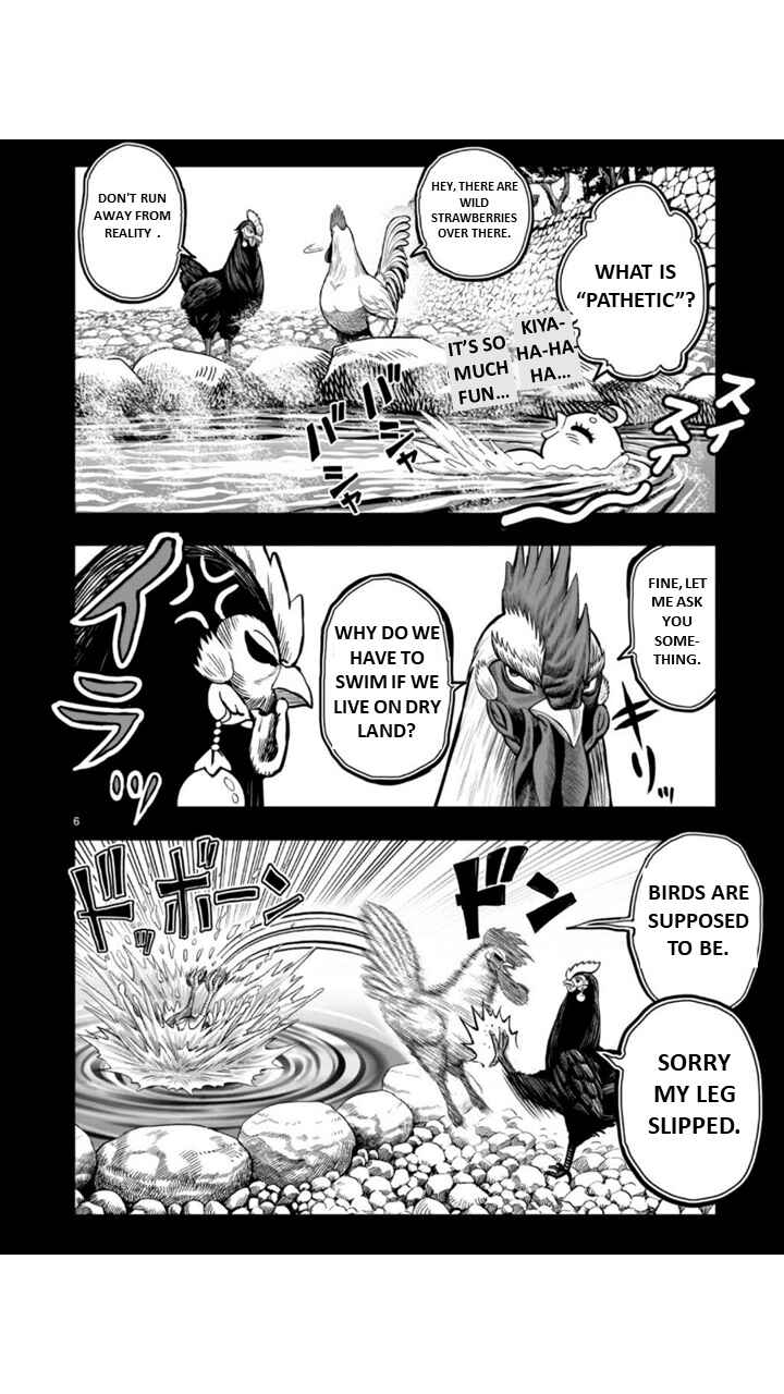 Page 6 Chapter 8 Rooster Fighter