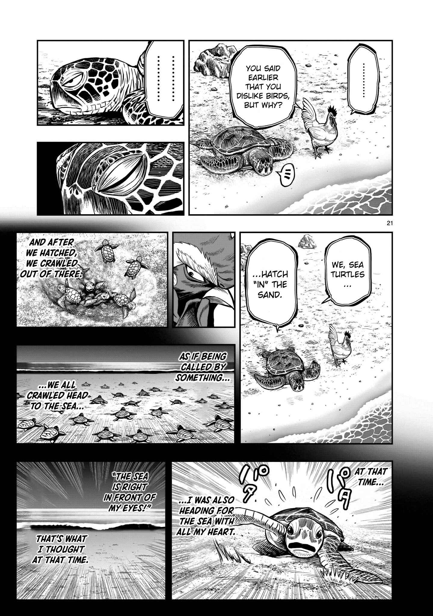 Page 22 Chapter 4 Rooster Fighter