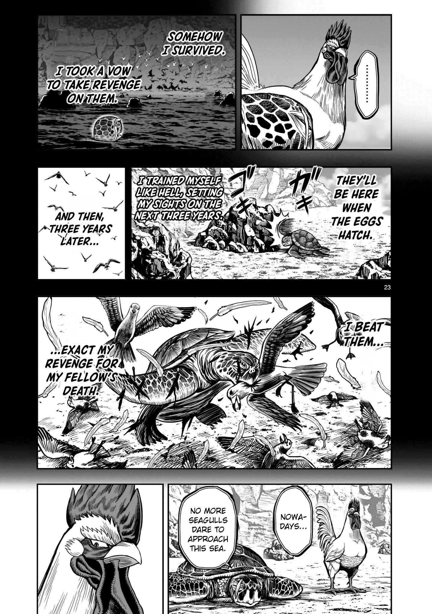 Page 24 Chapter 4 Rooster Fighter