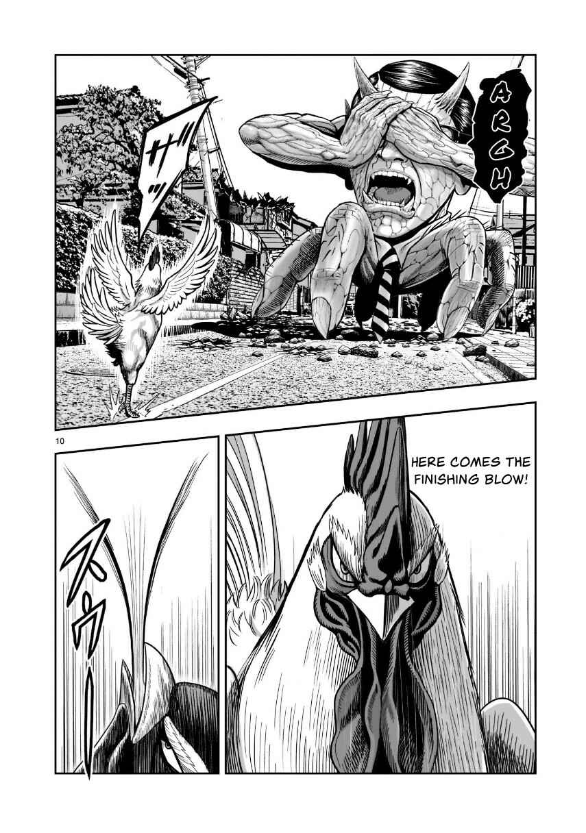 Page 12 Chapter 2 Rooster Fighter
