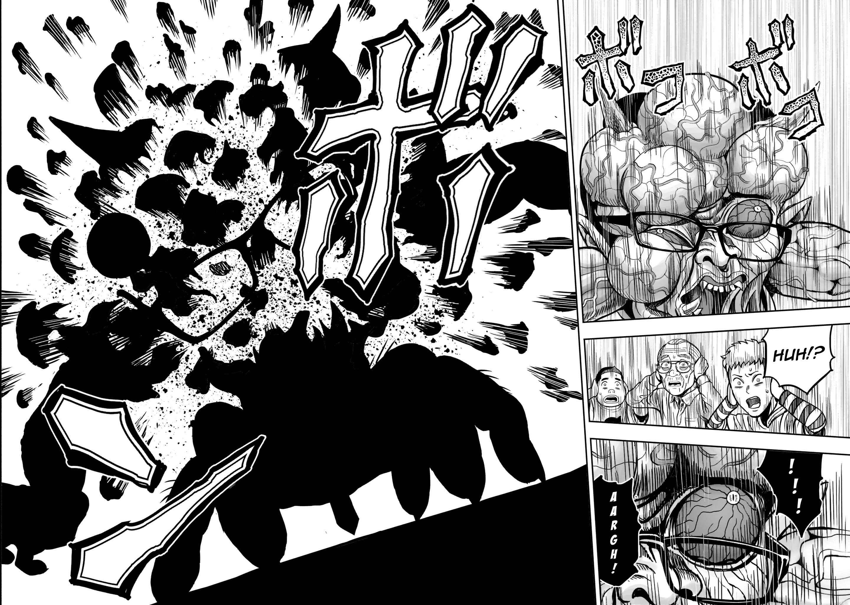 Page 17 Chapter 2 Rooster Fighter