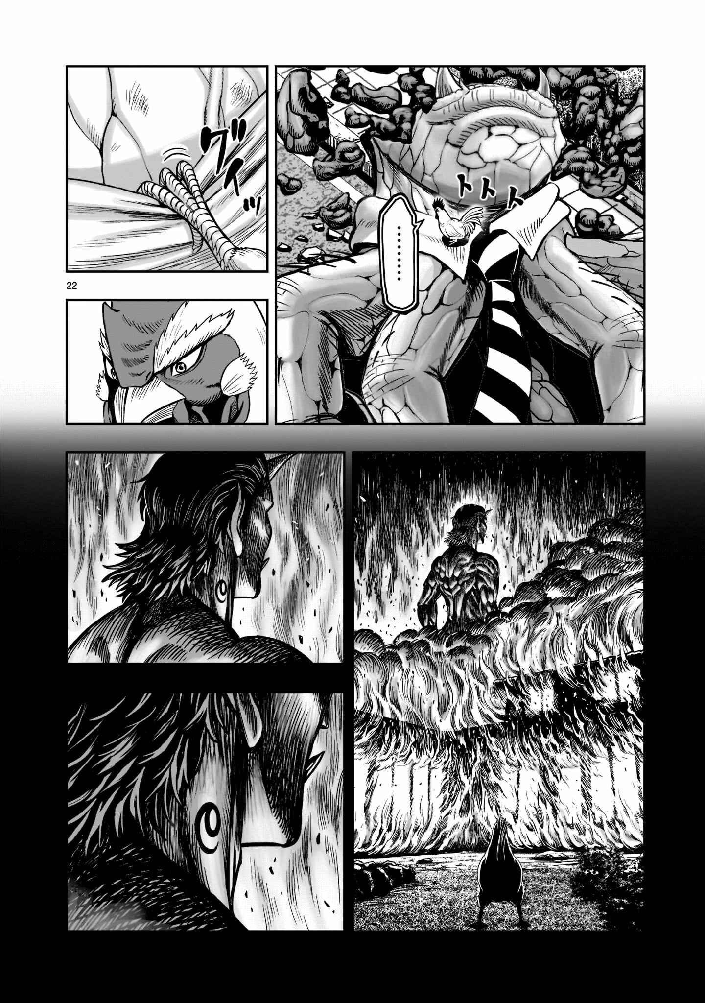 Page 21 Chapter 2 Rooster Fighter