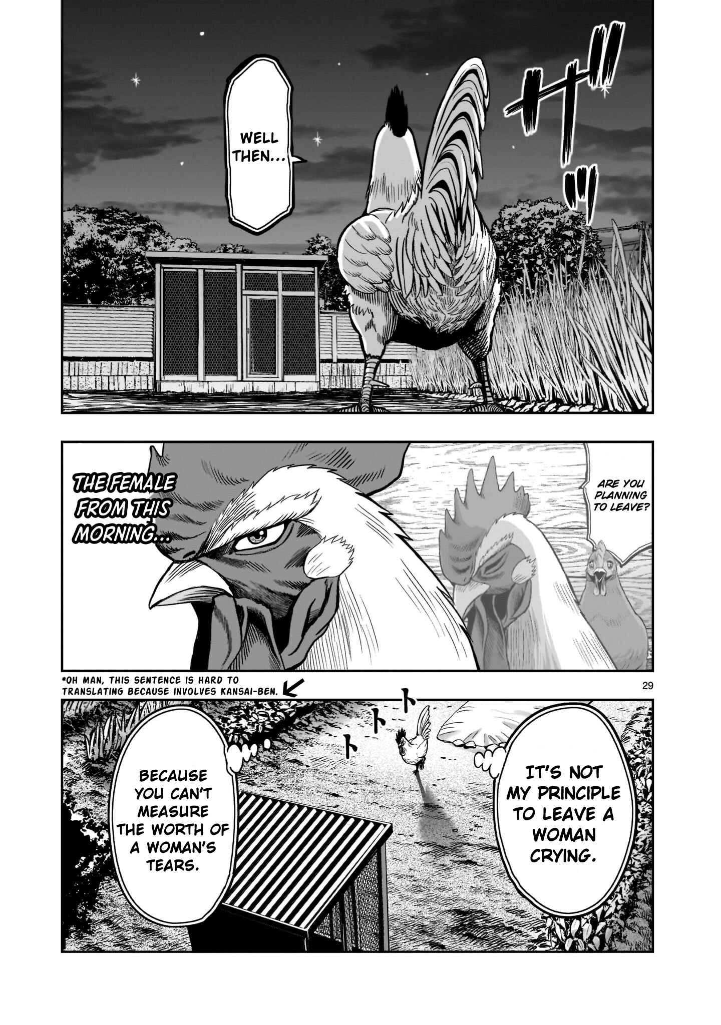 Page 28 Chapter 2 Rooster Fighter