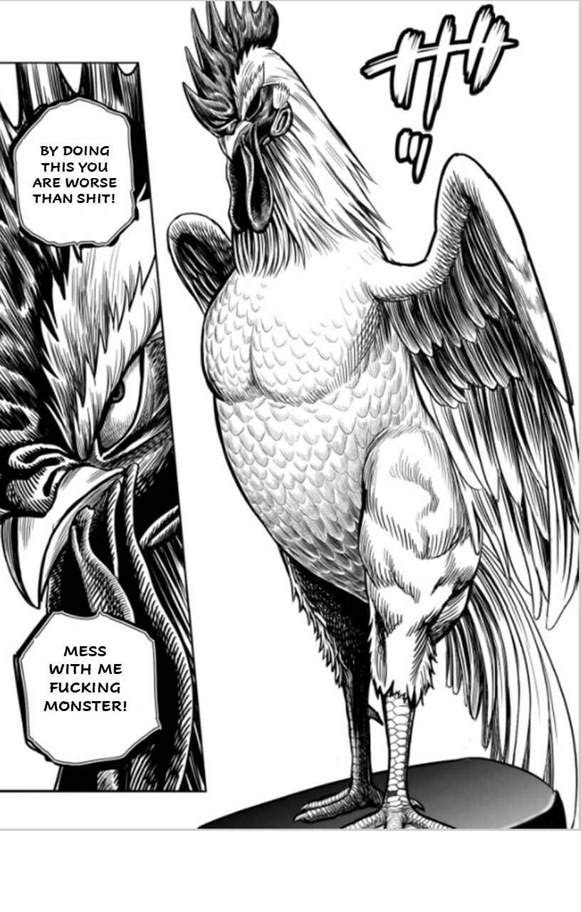 Page 12 Chapter 6 Rooster Fighter