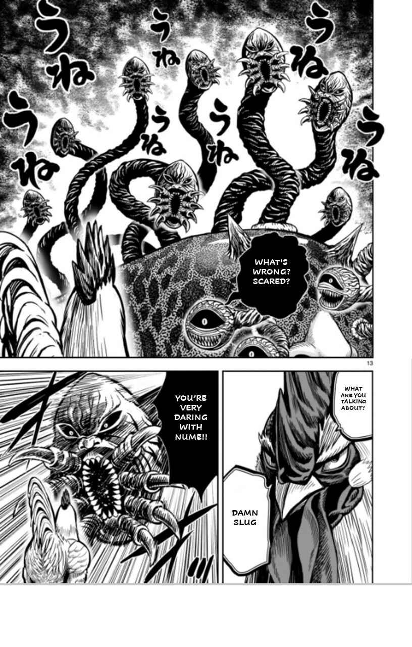 Page 13 Chapter 6 Rooster Fighter