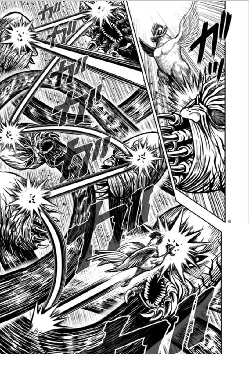 Page 15 Chapter 6 Rooster Fighter