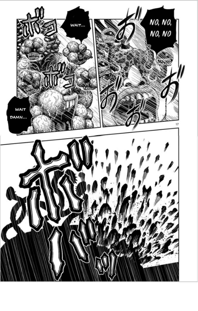 Page 17 Chapter 6 Rooster Fighter
