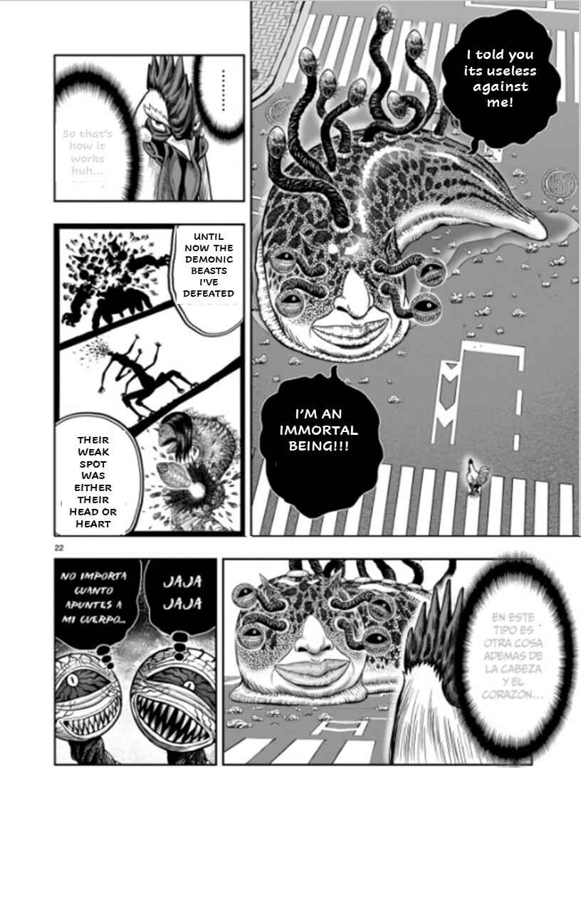 Page 22 Chapter 6 Rooster Fighter