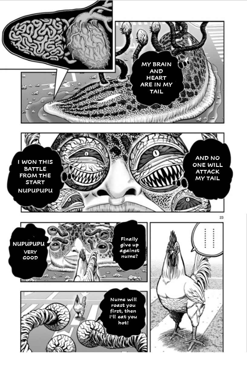 Page 23 Chapter 6 Rooster Fighter