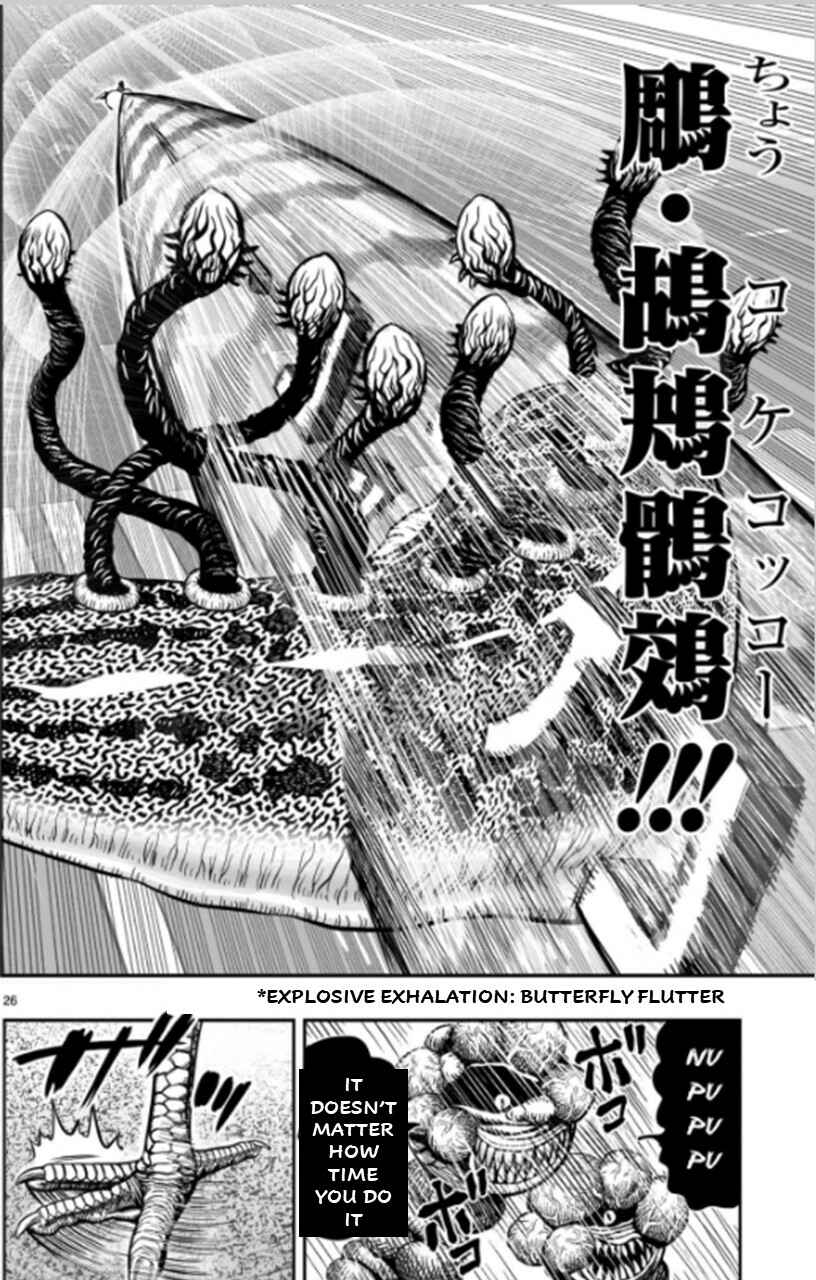 Page 26 Chapter 6 Rooster Fighter