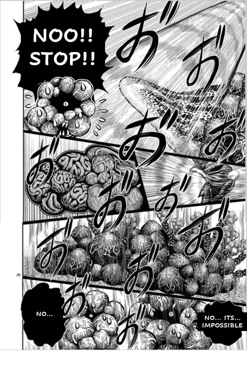 Page 28 Chapter 6 Rooster Fighter