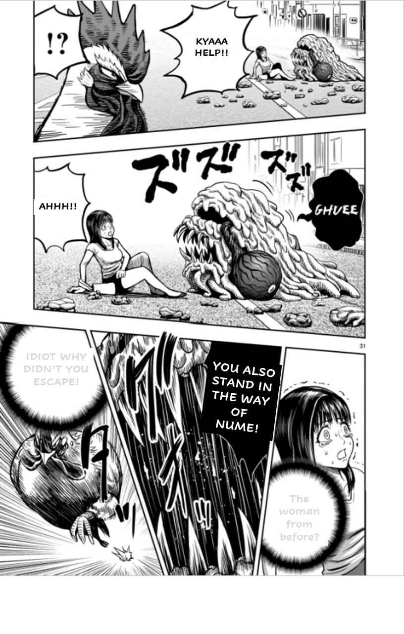 Page 31 Chapter 6 Rooster Fighter