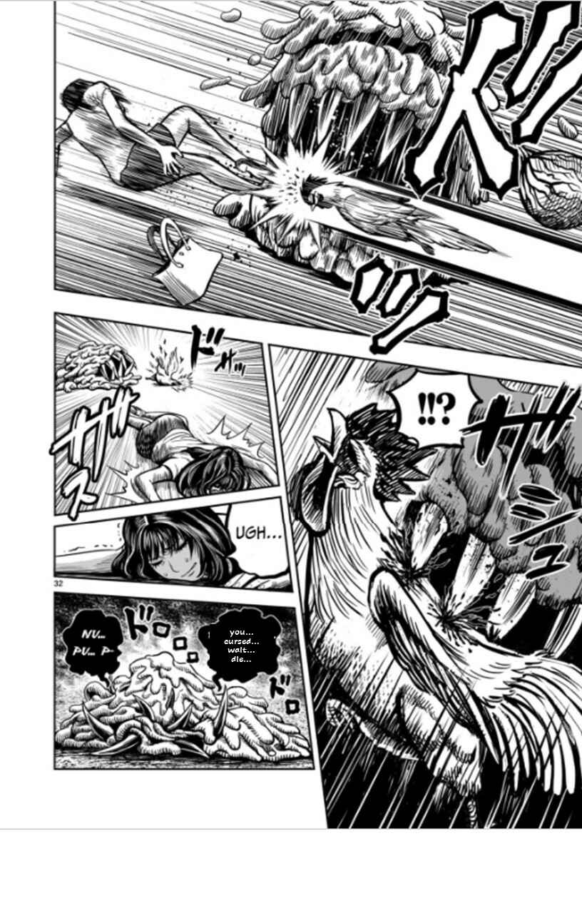 Page 32 Chapter 6 Rooster Fighter