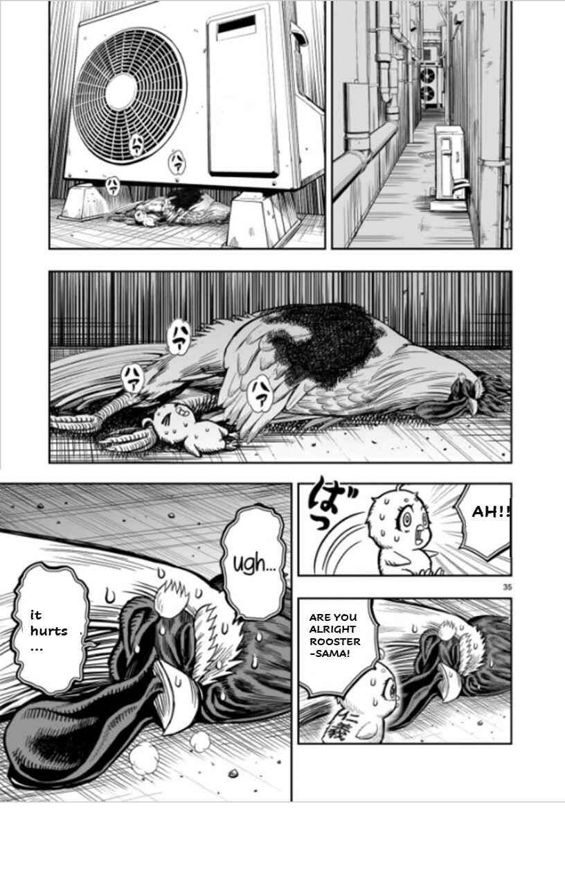 Page 35 Chapter 6 Rooster Fighter