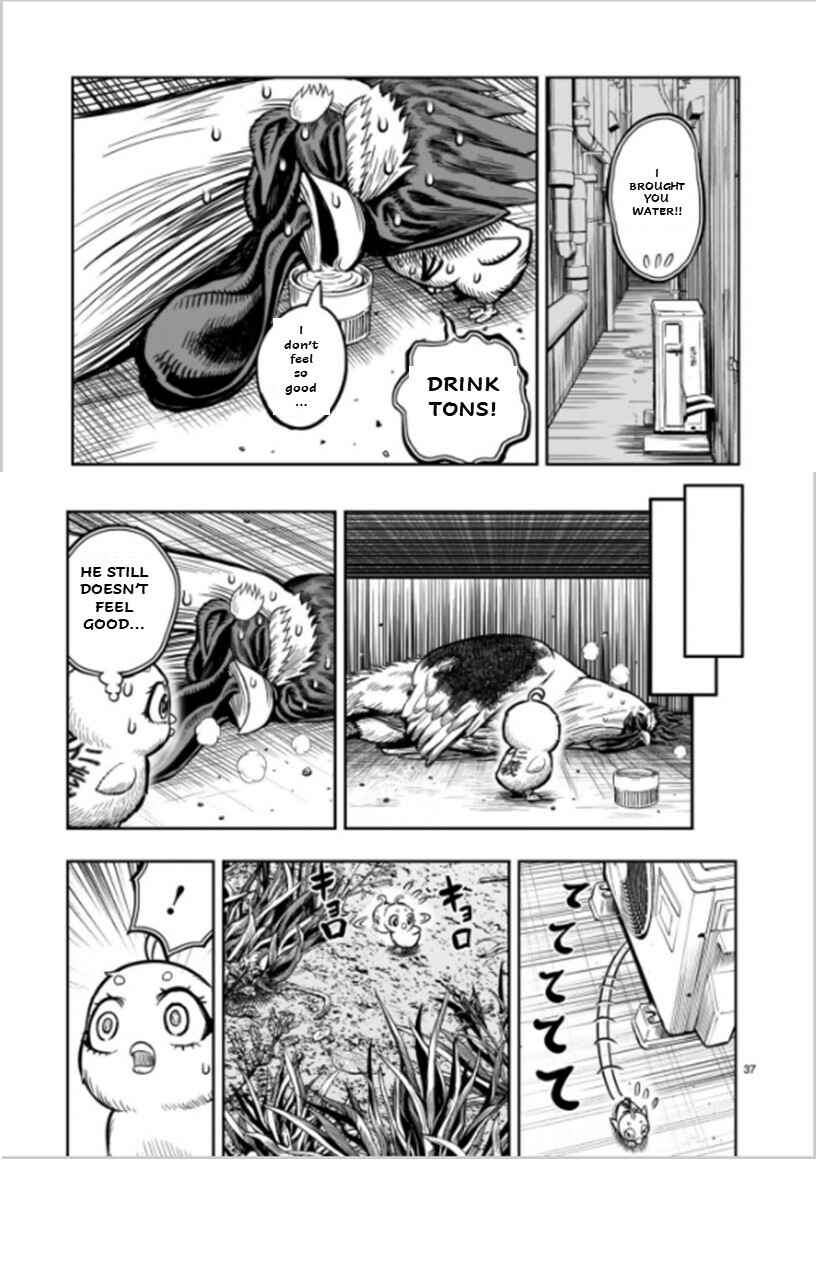 Page 37 Chapter 6 Rooster Fighter