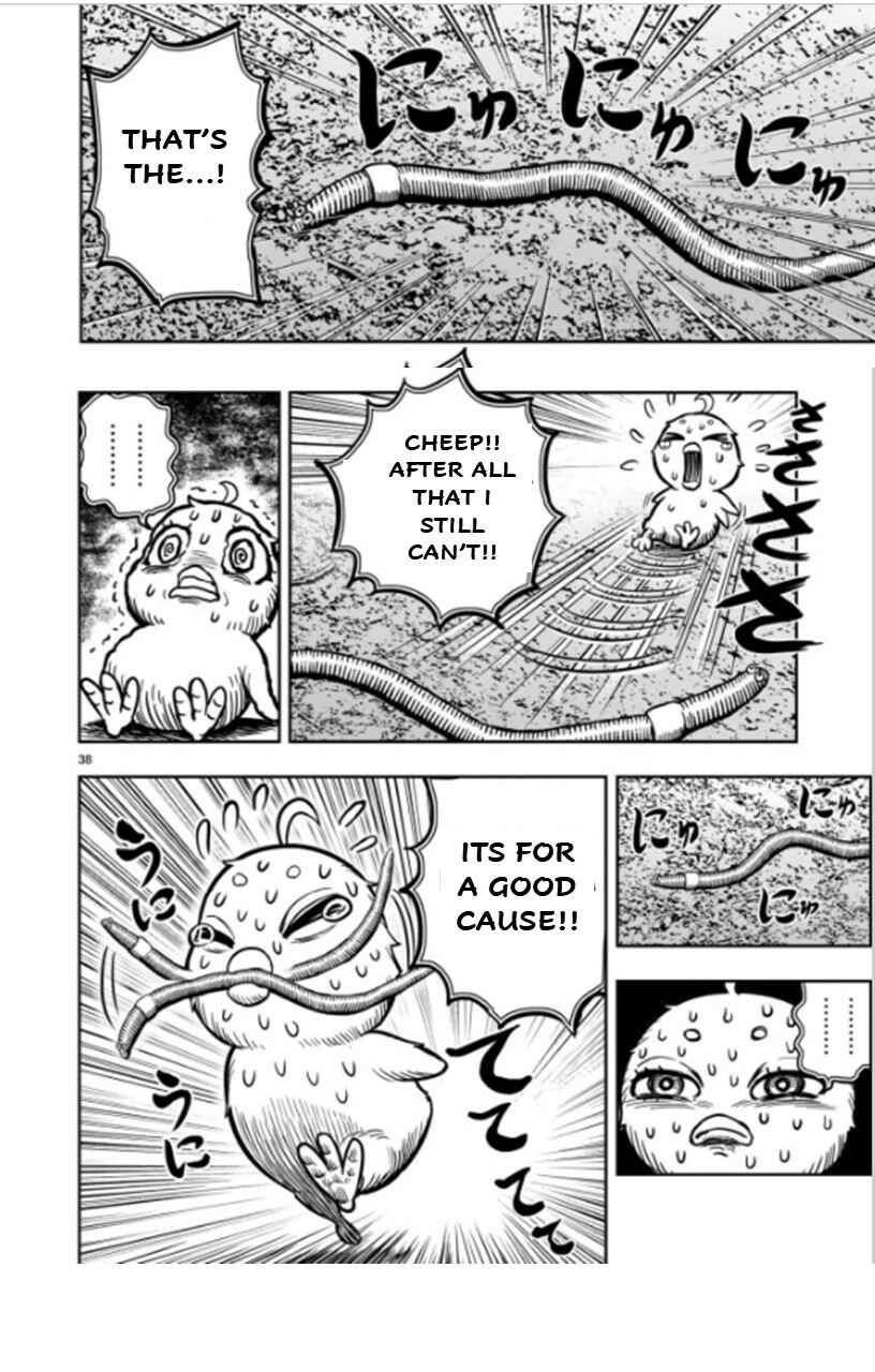 Page 38 Chapter 6 Rooster Fighter