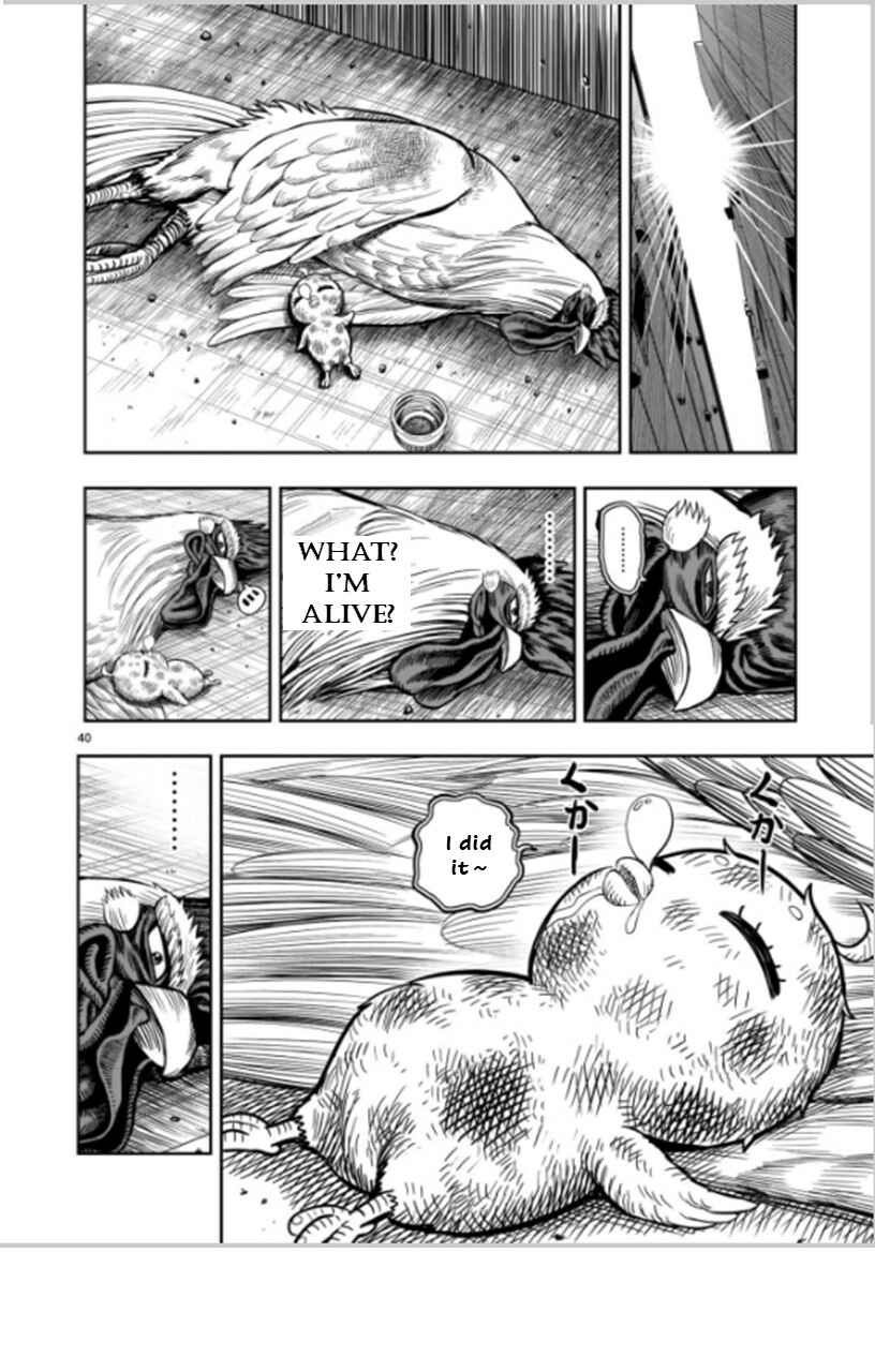 Page 40 Chapter 6 Rooster Fighter