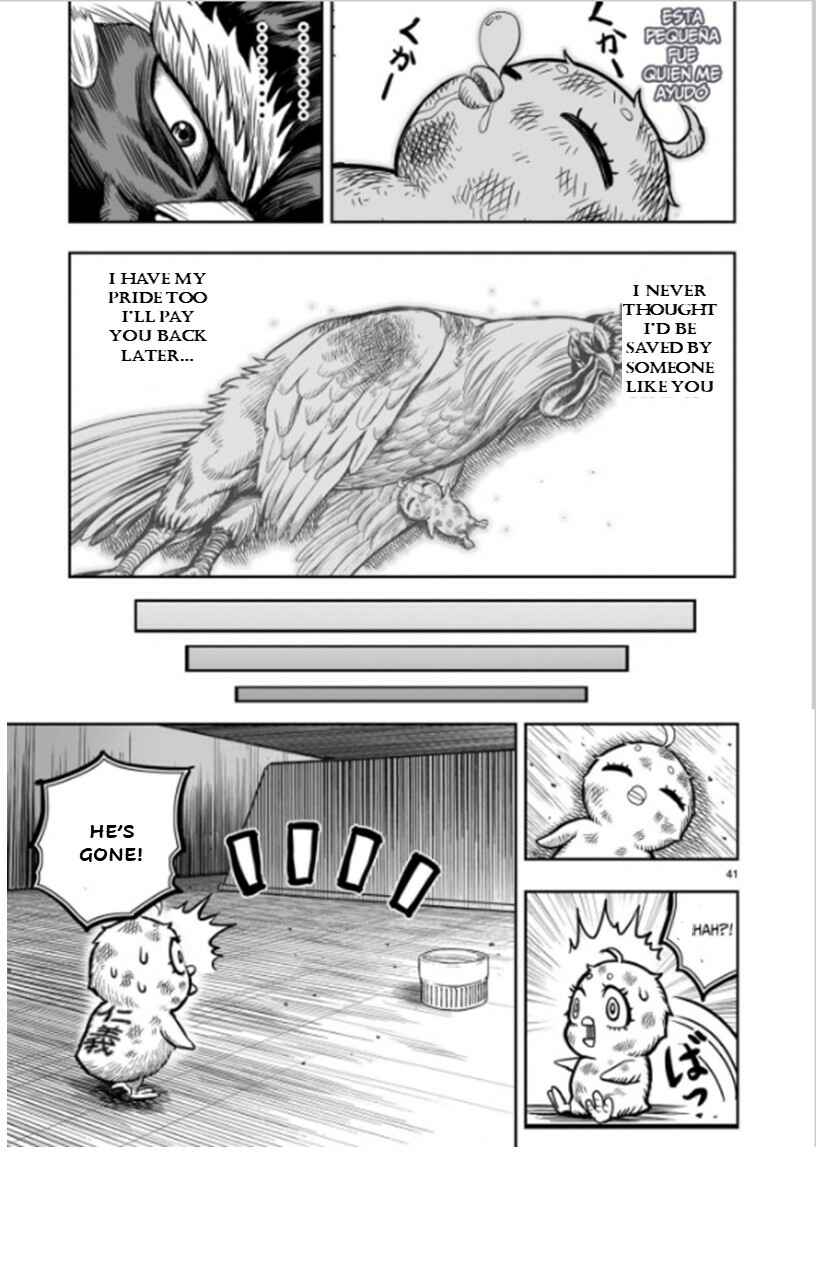 Page 41 Chapter 6 Rooster Fighter