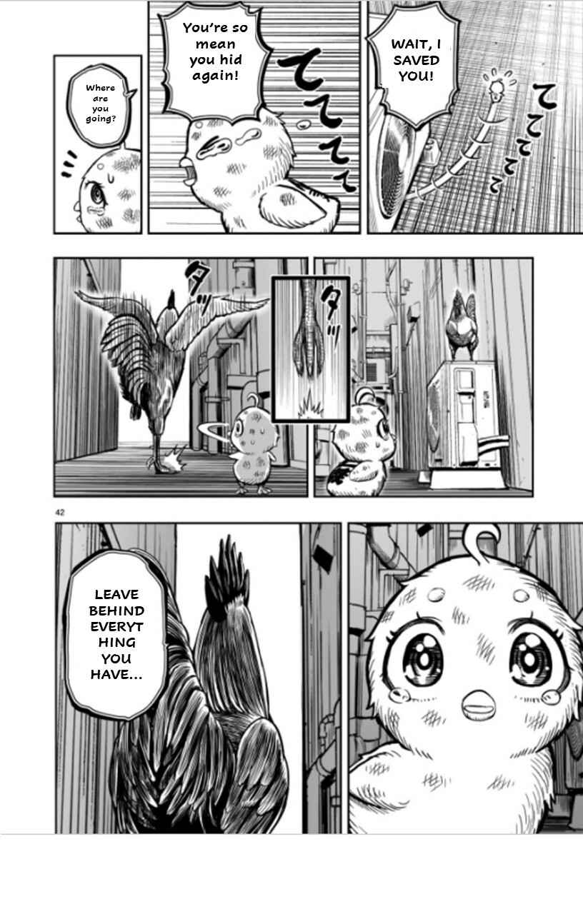 Page 42 Chapter 6 Rooster Fighter