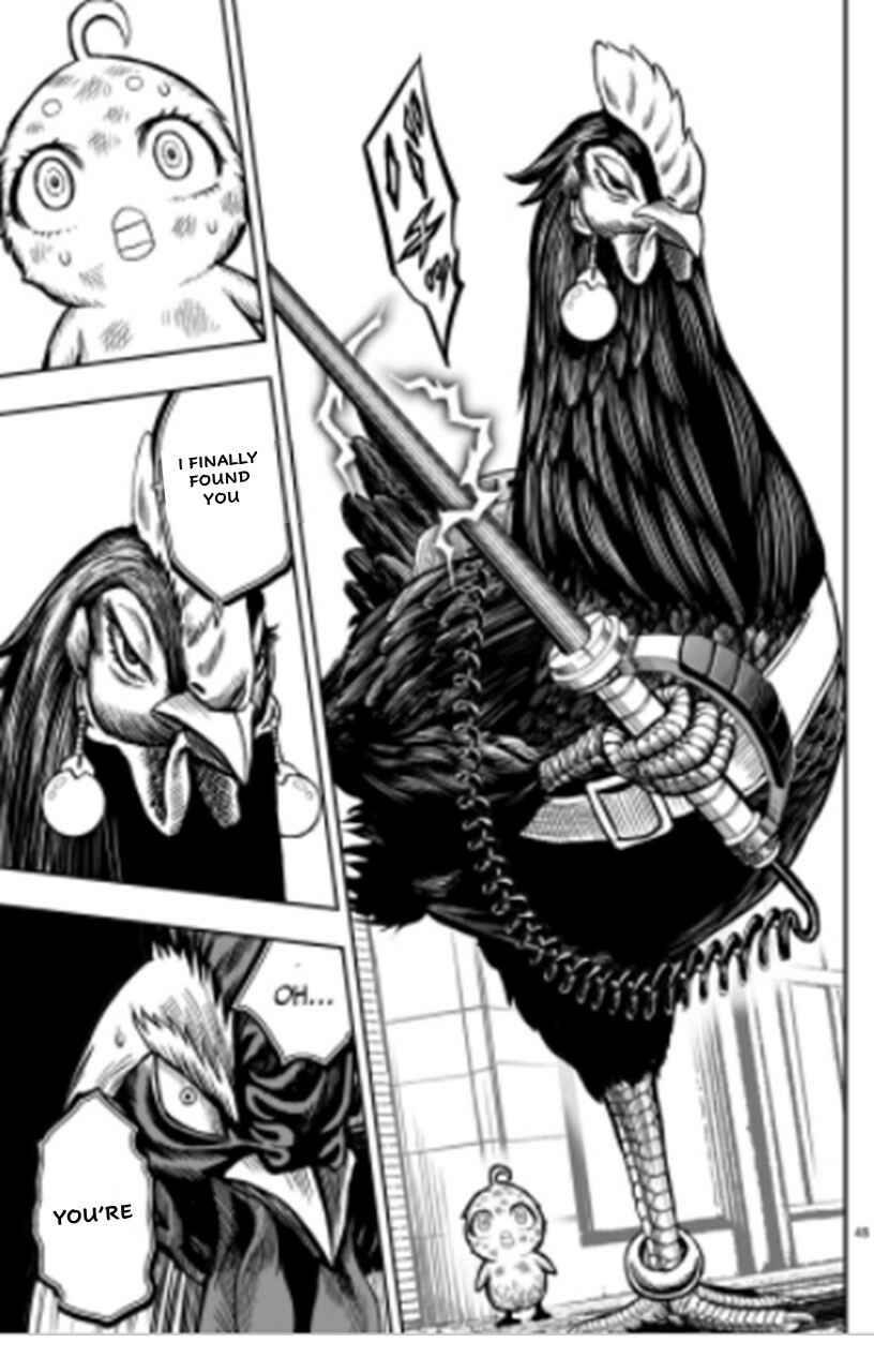 Page 45 Chapter 6 Rooster Fighter