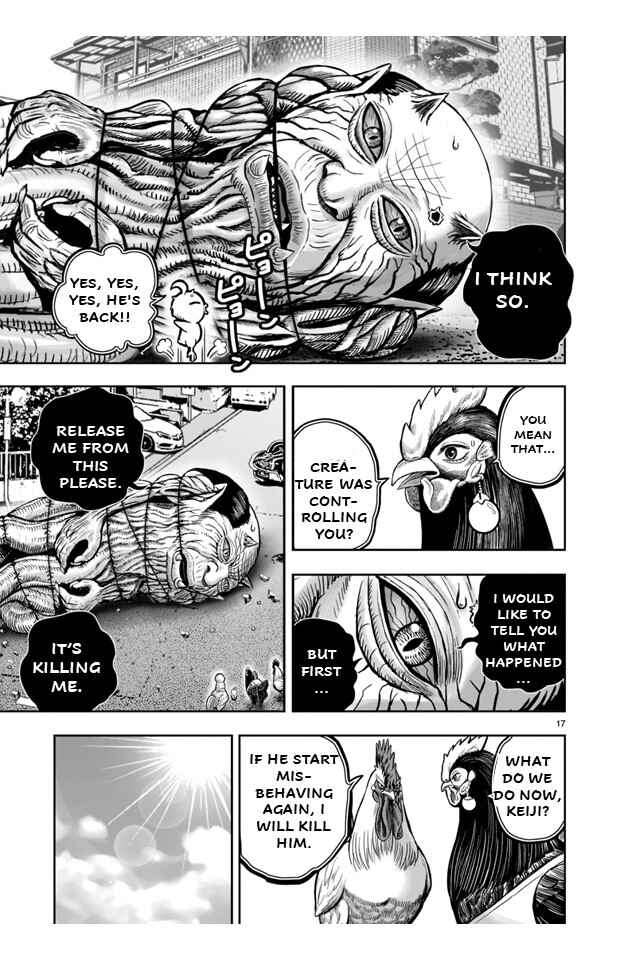 Page 17 Chapter 21 Rooster Fighter