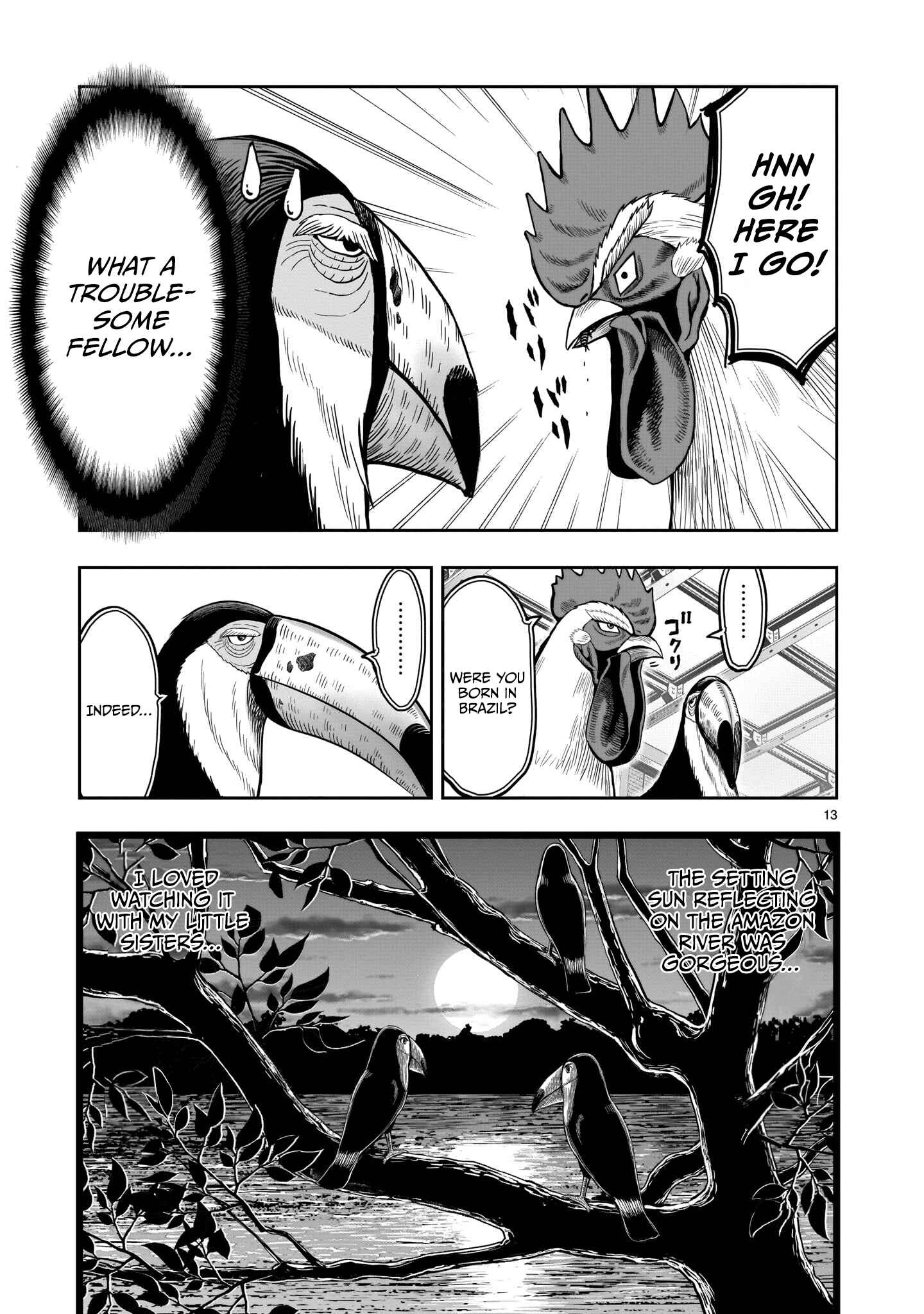 Page 15 Chapter 3 Rooster Fighter