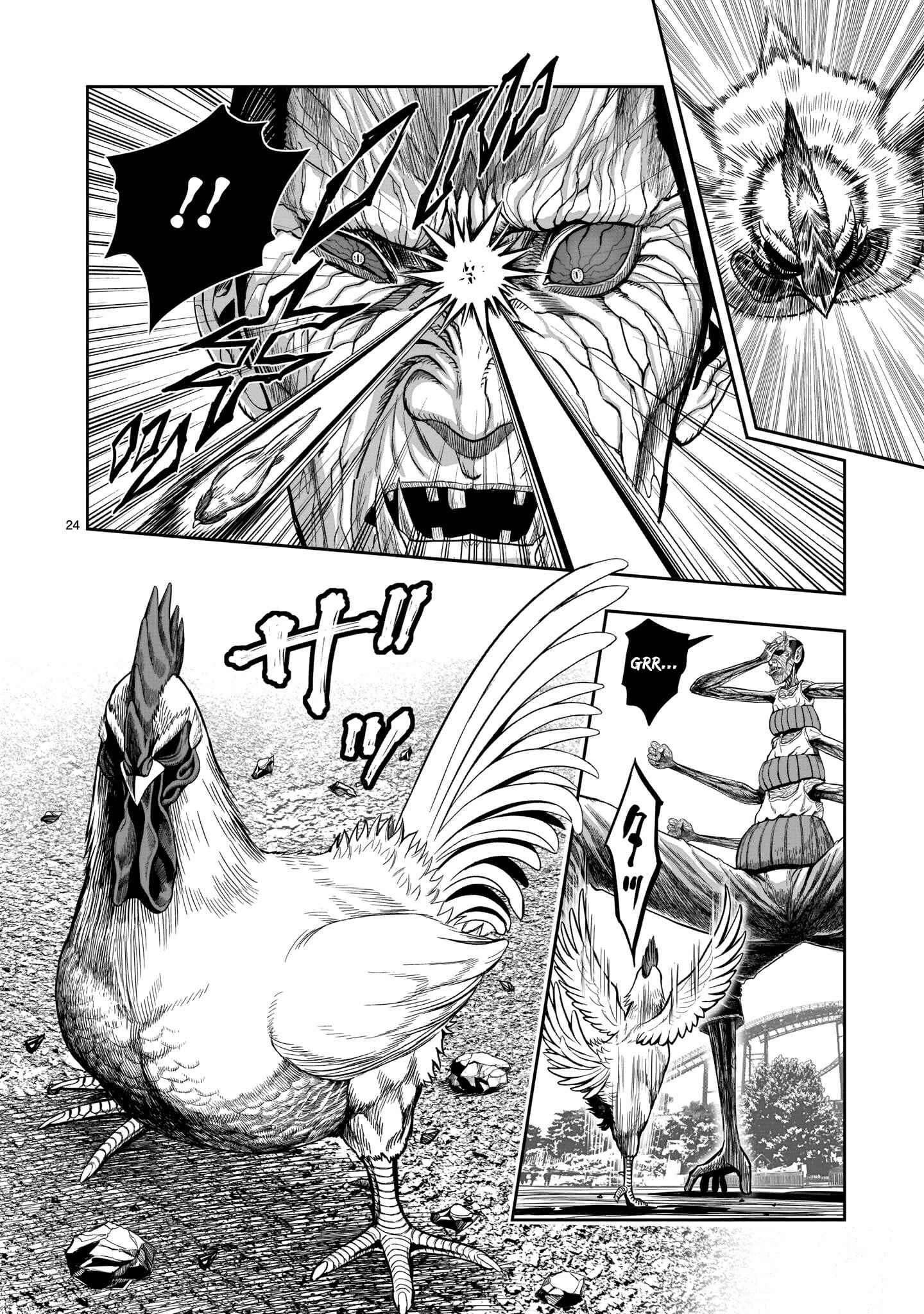Page 25 Chapter 3 Rooster Fighter