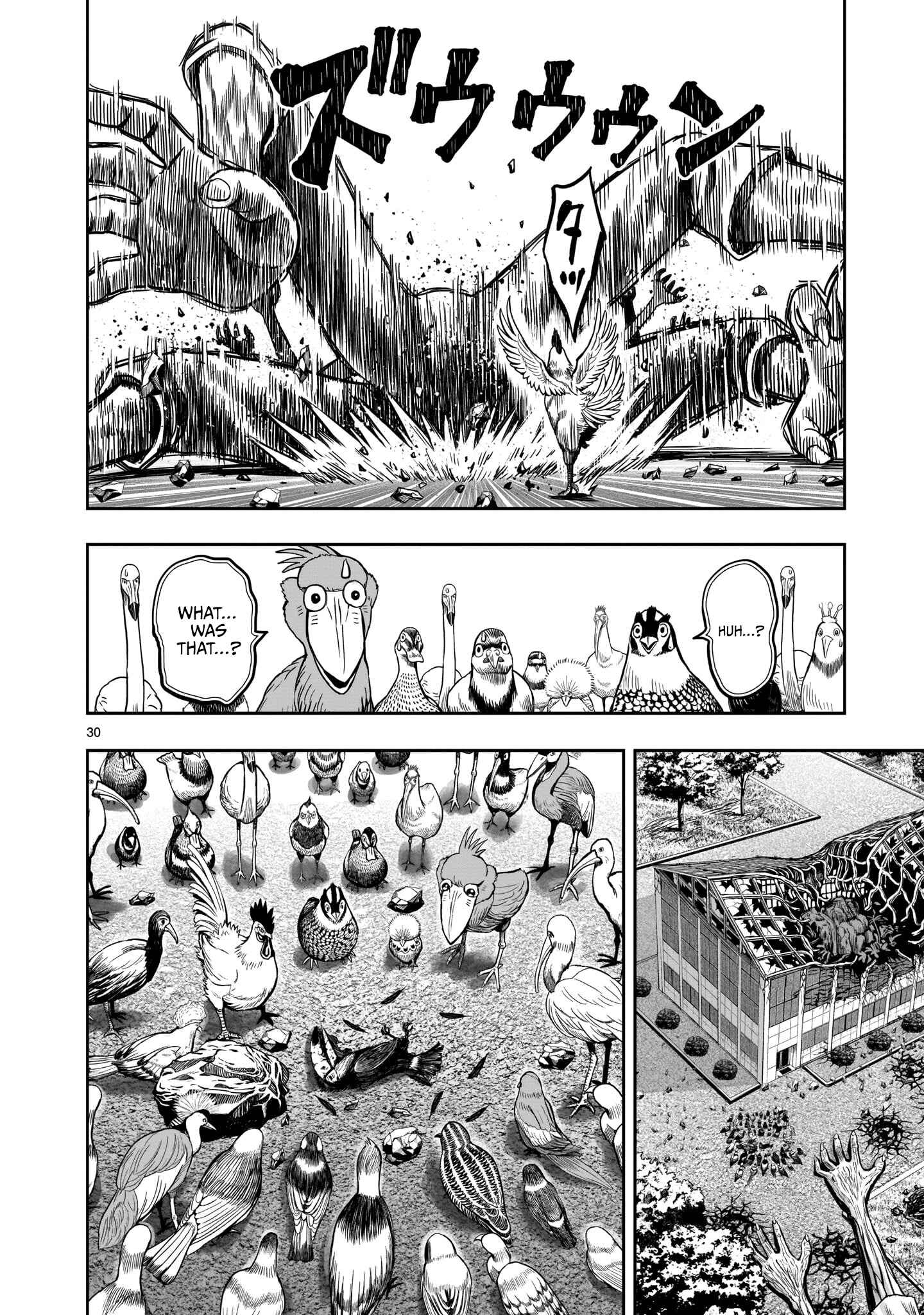 Page 30 Chapter 3 Rooster Fighter
