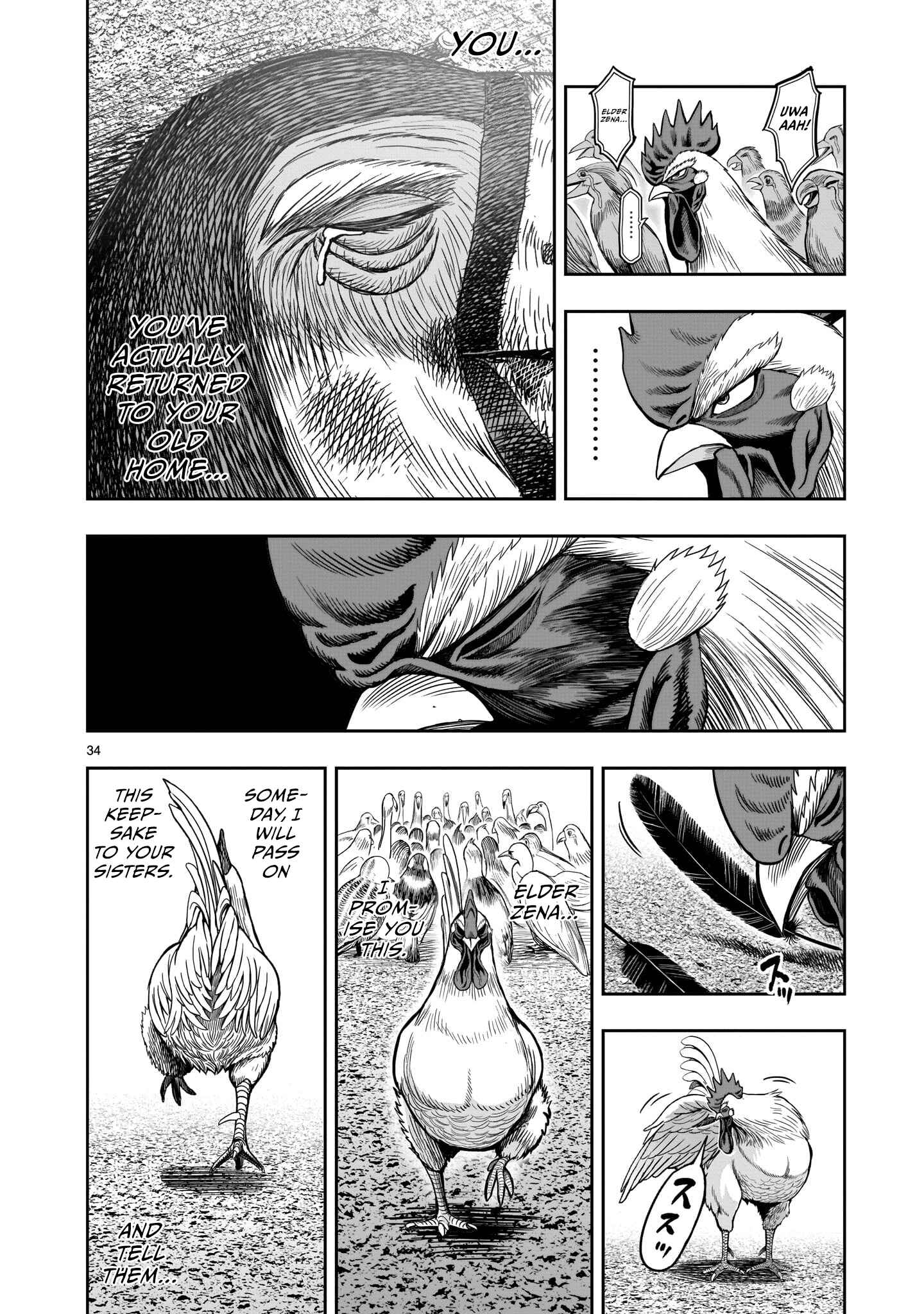 Page 34 Chapter 3 Rooster Fighter