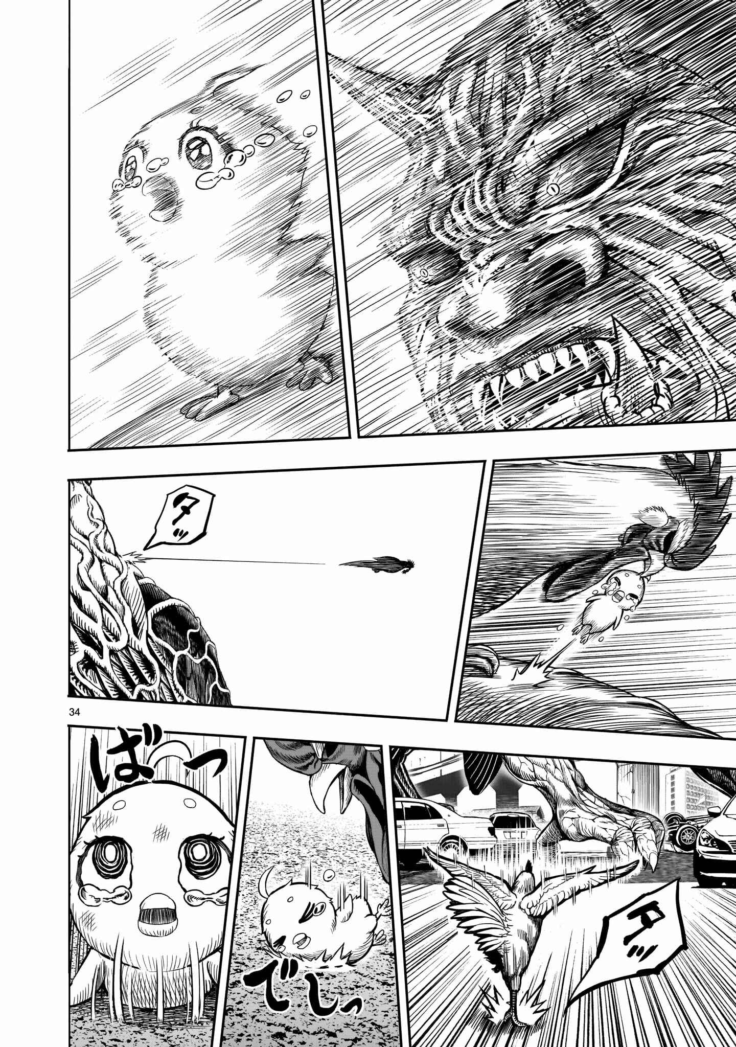 Page 34 Chapter 5 Rooster Fighter