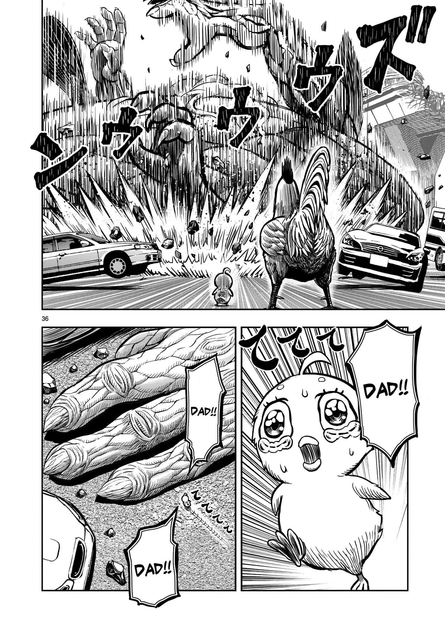 Page 36 Chapter 5 Rooster Fighter