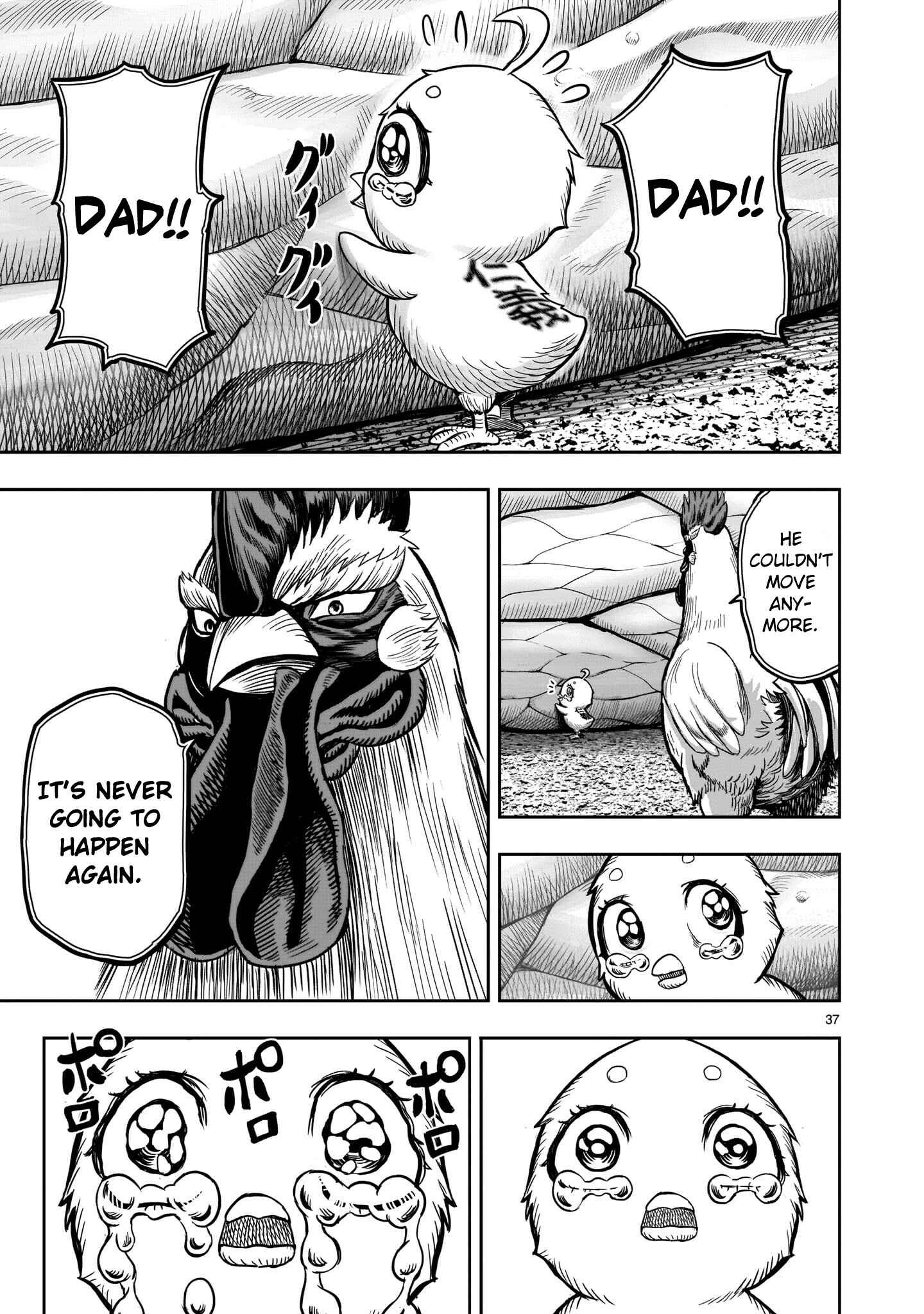 Page 37 Chapter 5 Rooster Fighter