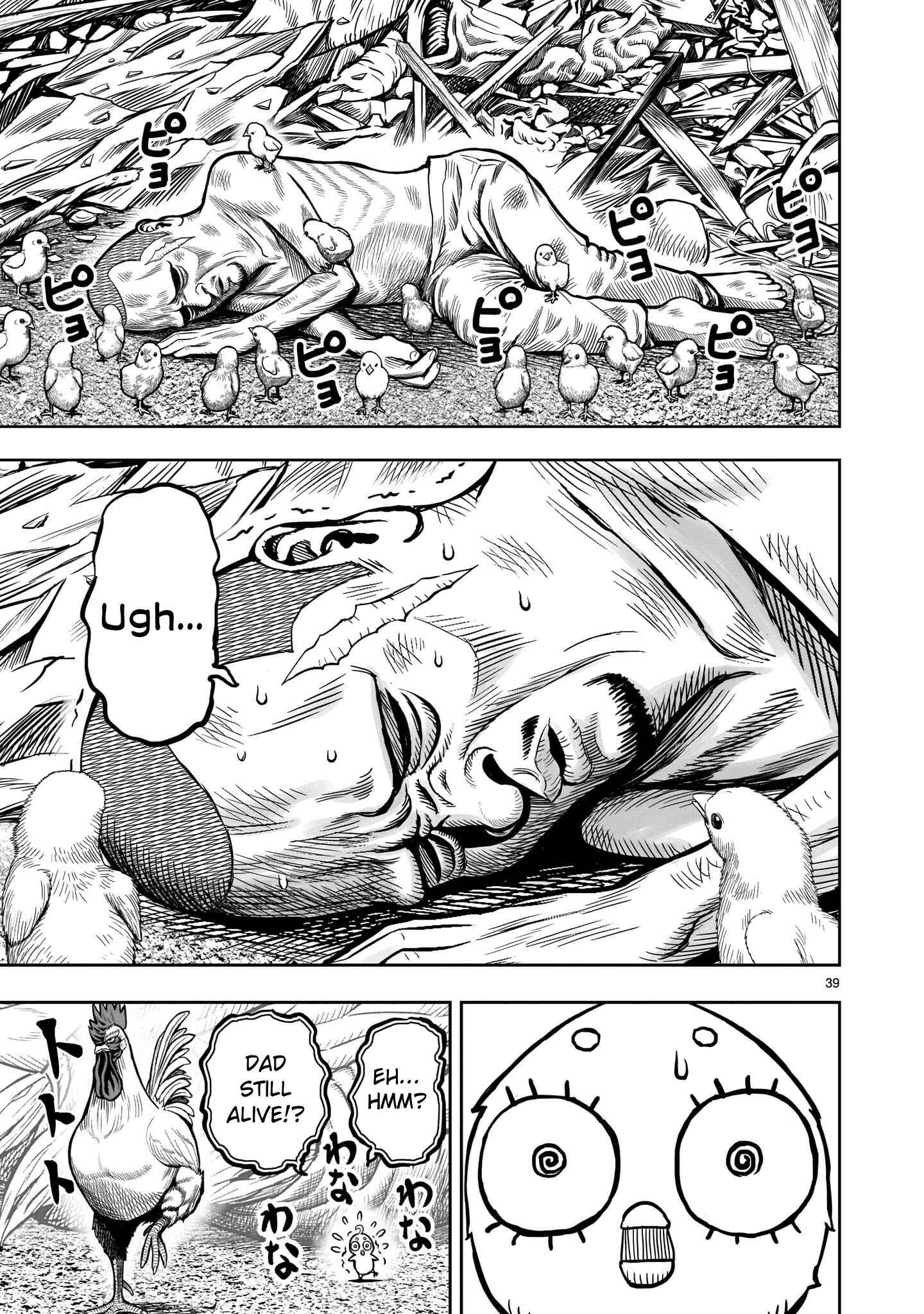 Page 39 Chapter 5 Rooster Fighter
