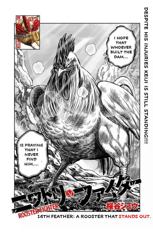 Page 2 Chapter 16 Rooster Fighter