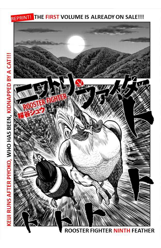 Page 1 Chapter 9 Rooster Fighter