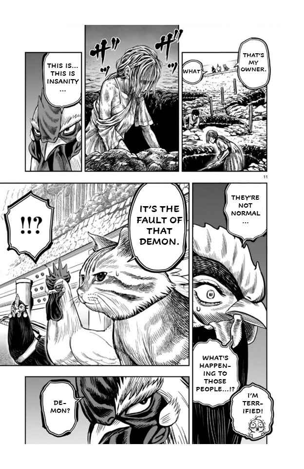 Page 11 Chapter 9 Rooster Fighter
