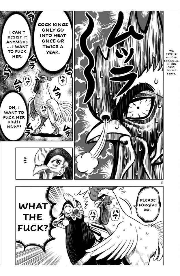 Page 27 Chapter 9 Rooster Fighter